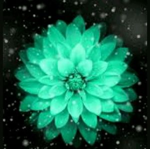 Meet your Posher, Becca